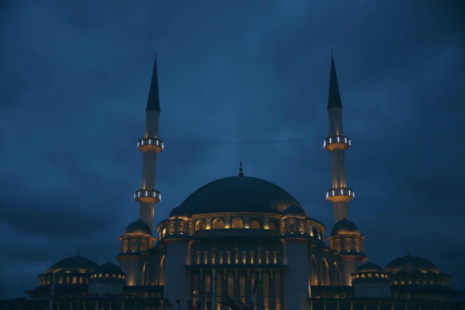 Профессиональная экскурсионная деятельность